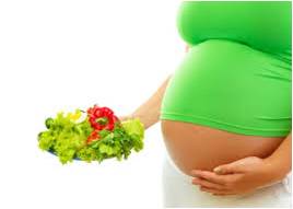 fertilidad alimentacion2